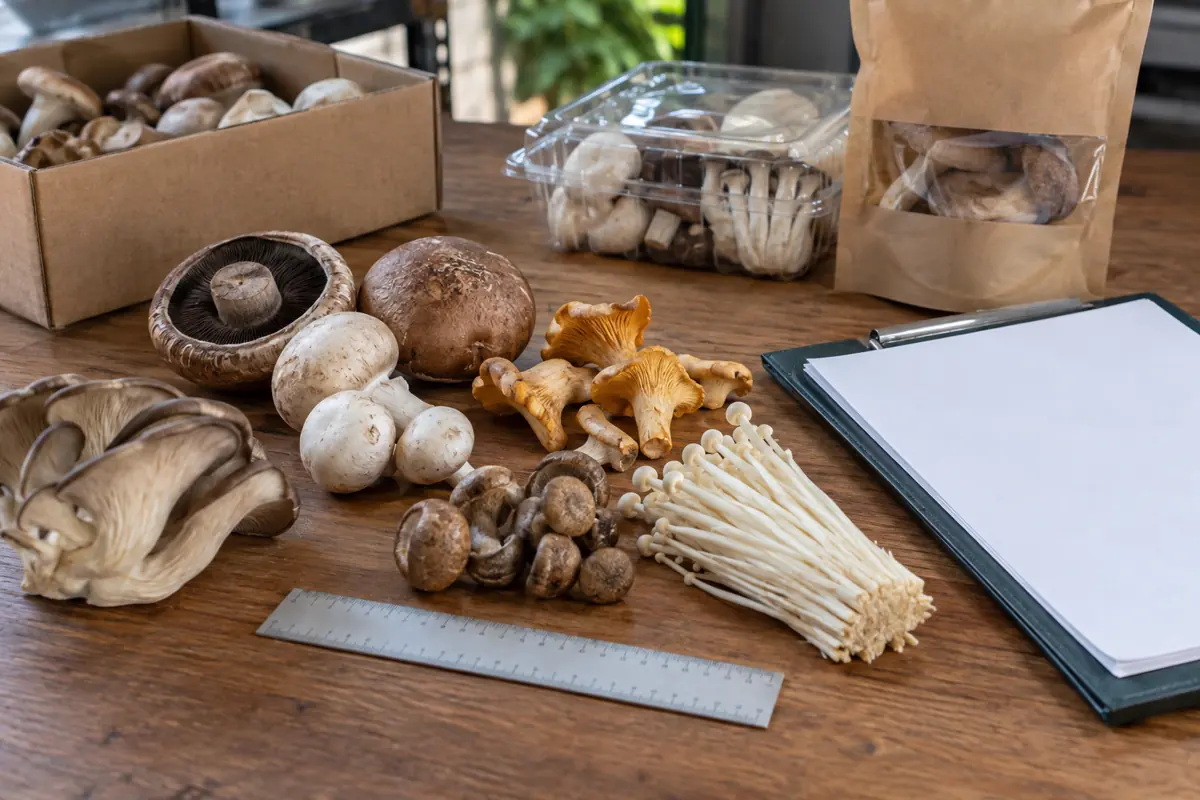 Mixed mushroom samples with cut and packing references