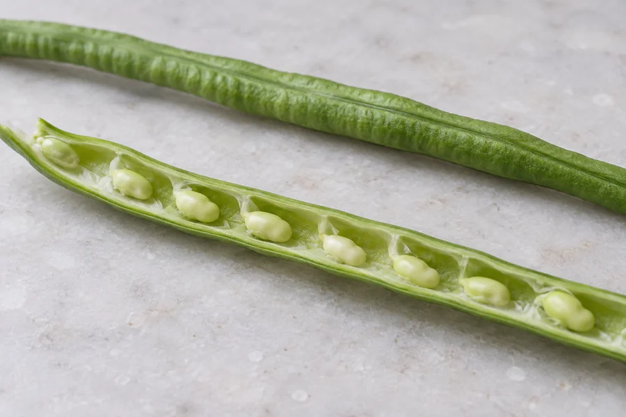 Close cutaway of immature yardlong pod showing thin pod wall and small undeveloped seeds