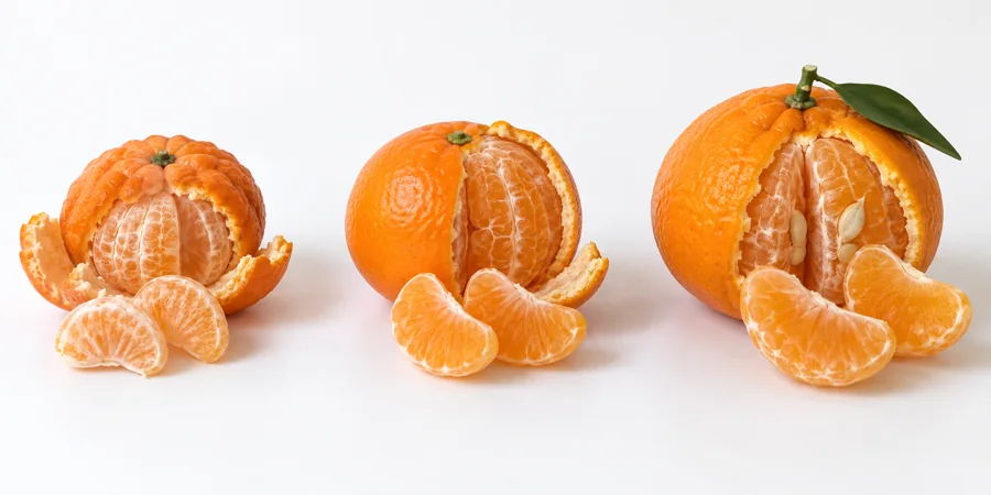 Three mandarin forms with different peel and segment structures