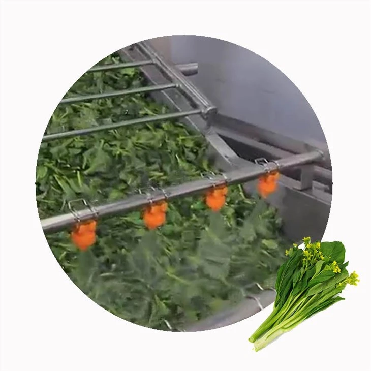 IQF Frozen Rapeseed Flowers factory